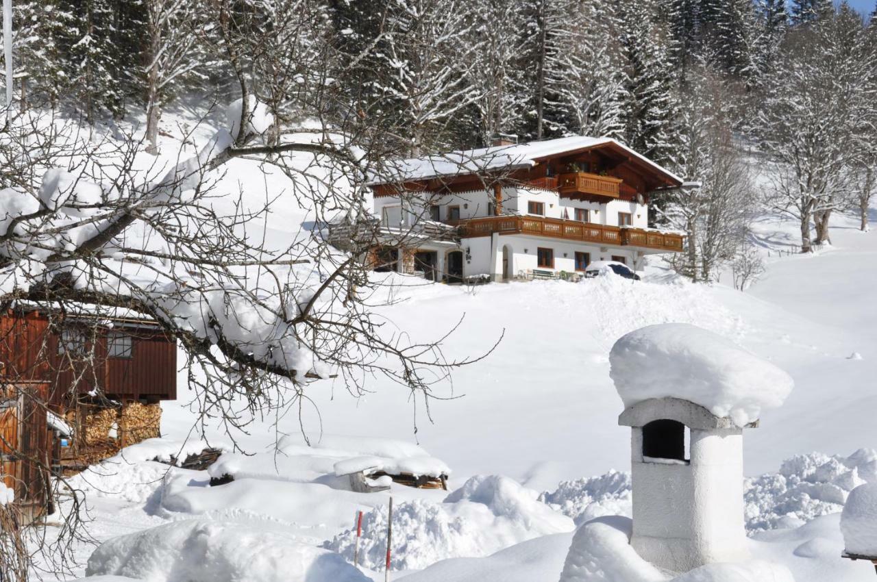 Gaestehaus Erle Ramsau am Dachstein Extérieur photo